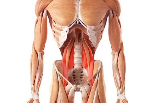 Genitofemoral Neuralgia